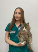 Мехрякова Алина Юрьевна